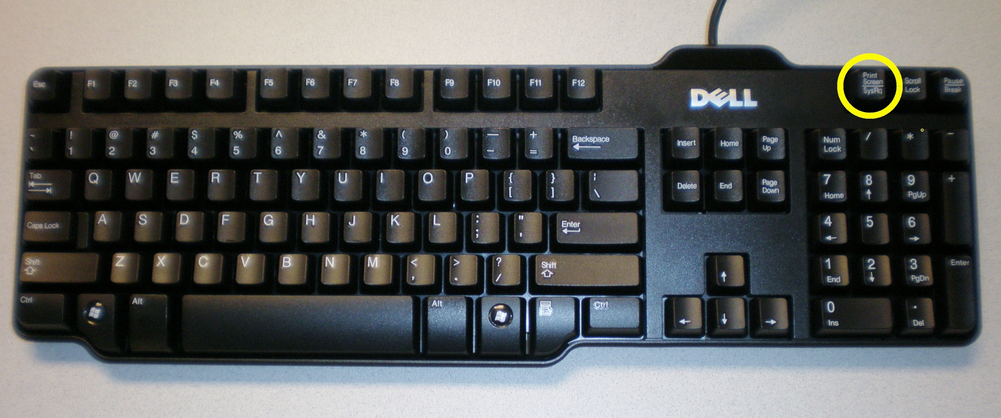 dell keyboard lights on but no screen